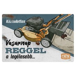   Retro fémtábla - Köztudottan vasárnap a legélesebb - narancs-kék - A4 - 20x30 cm