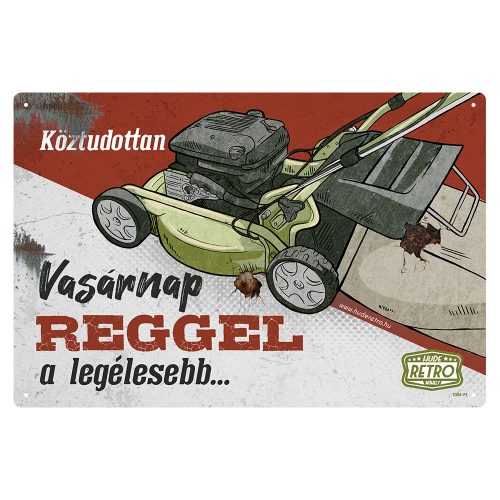 Retro fémtábla - Köztudottan vasárnap a legélesebb - piros-zöld - A4 - 20x30 cm