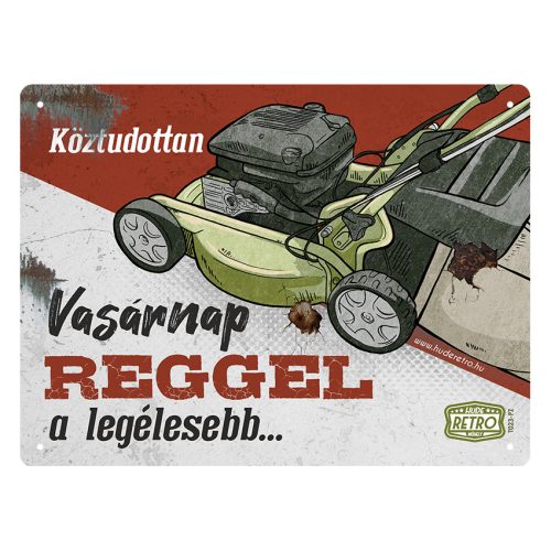 Retro fémtábla - Köztudottan vasárnap a legélesebb - piros-zöld - A5 - 15x20 cm