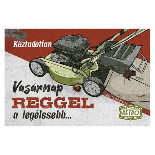 Retro hűtőmágnes - Köztudottan vasárnap a legélesebb - piros-zöld - 6x9 cm