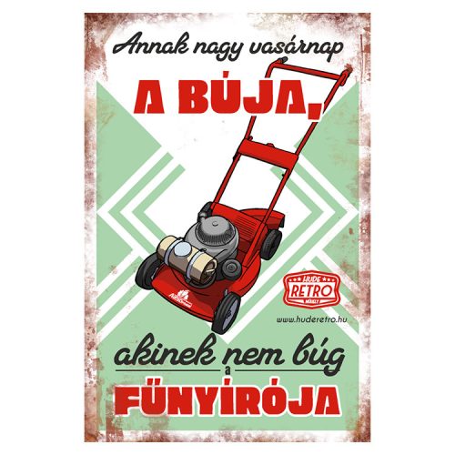 Retro hűtőmágnes - Annak nagy vasárnap a búja - zöld - 6x9 cm