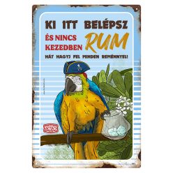   Retro fémtábla - Ki itt belépsz és nincs kezedben rum - A4 - 20x30 cm