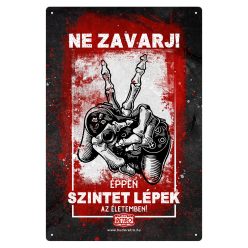   Retro fémtábla - Ne zavarj! Éppen szintet lépek az életemben! - piros - A4 - 20x30 cm