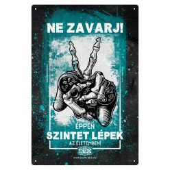   Retro fémtábla - Ne zavarj! Éppen szintet lépek az életemben! - kék- A4 - 20x30 cm