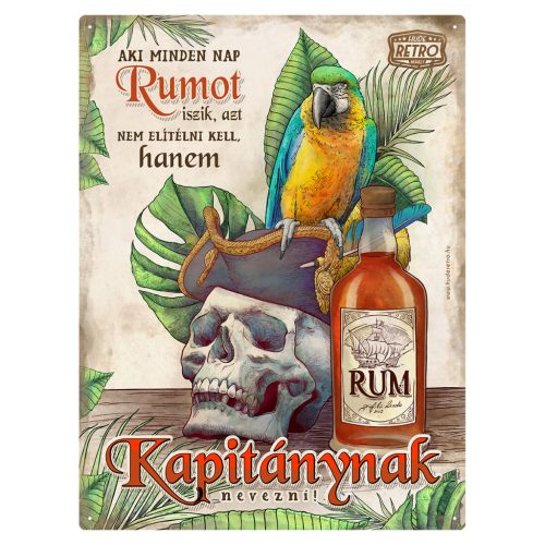 Retro fémtábla - Aki mindent nap rumot iszik... - barna - A3 - 30x40 cm - PREMIUM