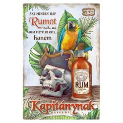   Retro fémtábla - Aki mindent nap rumot iszik... - kékes - A4 - 20x30 cm
