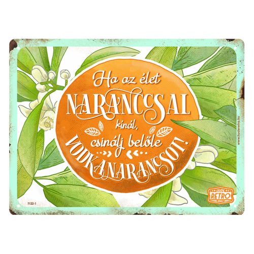 Retro fémtábla - Ha az élet naranccsal kínál, csinálj belőle vodkanarancsot - A5 - 15x20 cm