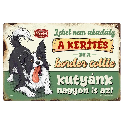 Retro fémtábla - A kerítés lehet nem akadály, a border collie kutyánk viszont nagyon is az! - zöld - A4 - 20x30 cm