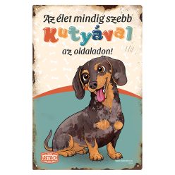   Retro fémtábla - Az élet mindig szebb kutyával az oldaladon! - harlekin tacskó - zöld - A4 - 20x30 cm
