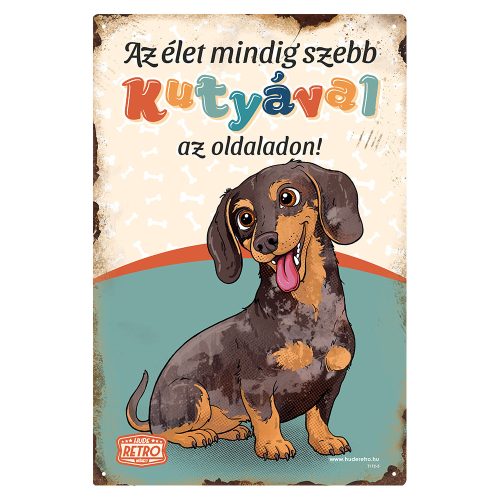 Retro fémtábla - Az élet mindig szebb kutyával az oldaladon! - harlekin tacskó - zöld - A4 - 20x30 cm