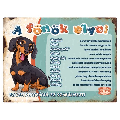 Retro fémtábla - A főnök elvei - tacskó - zöld - A3 - 30x40 cm - PREMIUM