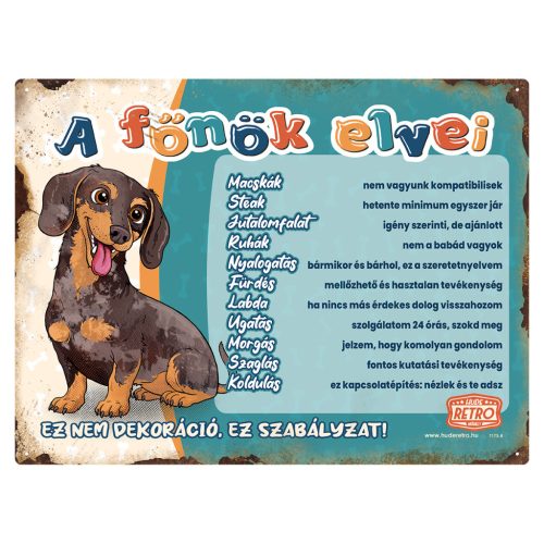 Retro fémtábla - A főnök elvei - harlekin tacskó - zöld - A3 - 30x40 cm - PREMIUM
